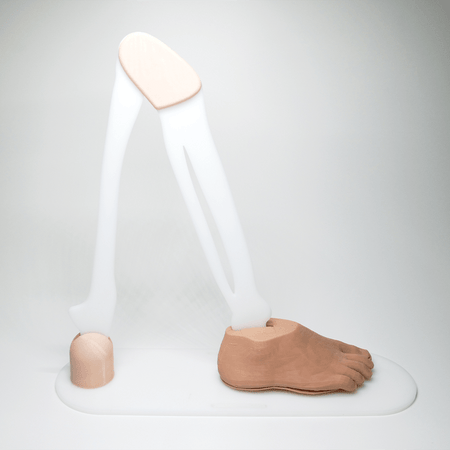 Corn and Callus debridement trainer - Medimodels